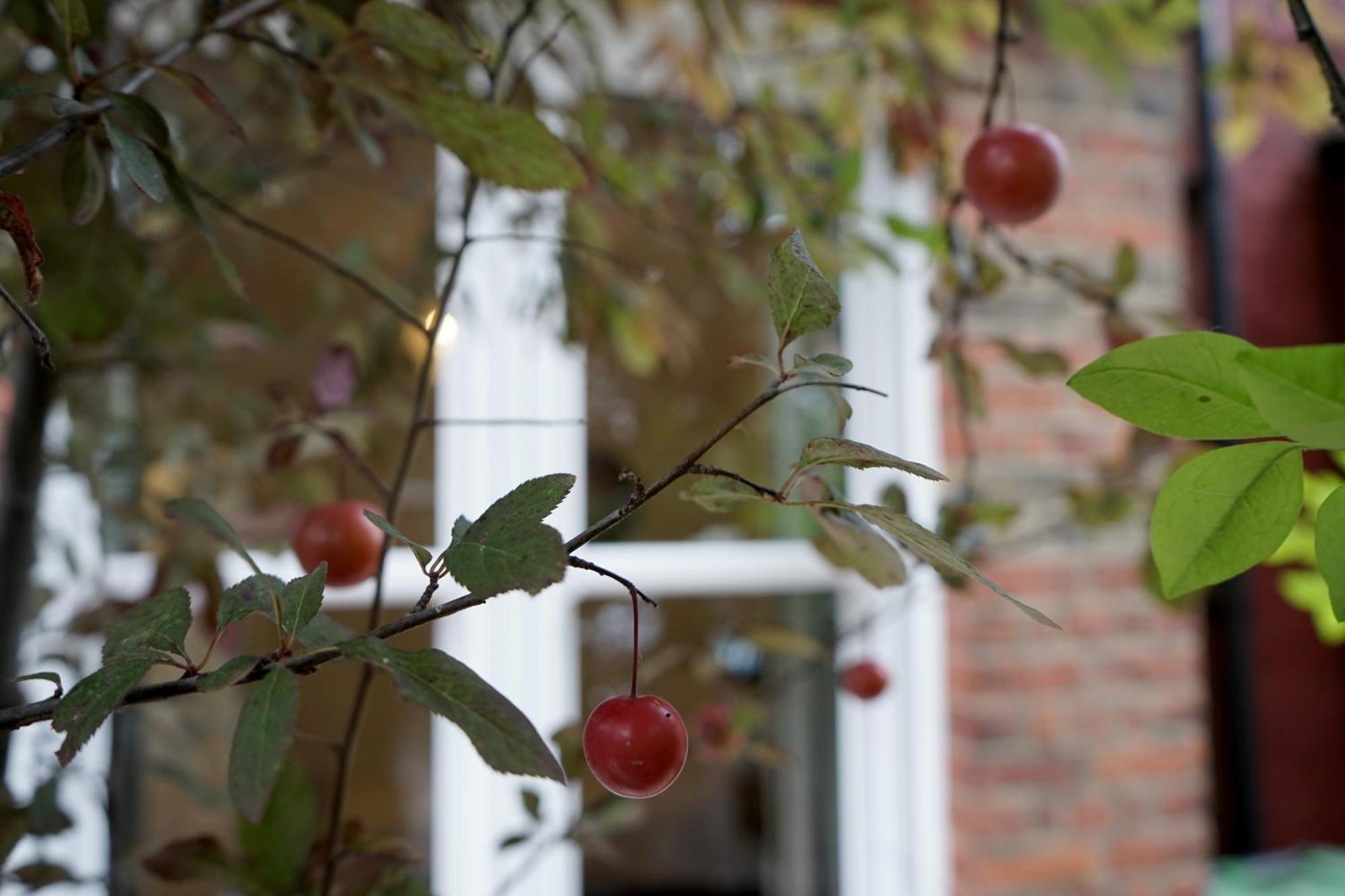 Vila Luxury London House Sleeps 13, 2 Minutes To Metro Exteriér fotografie